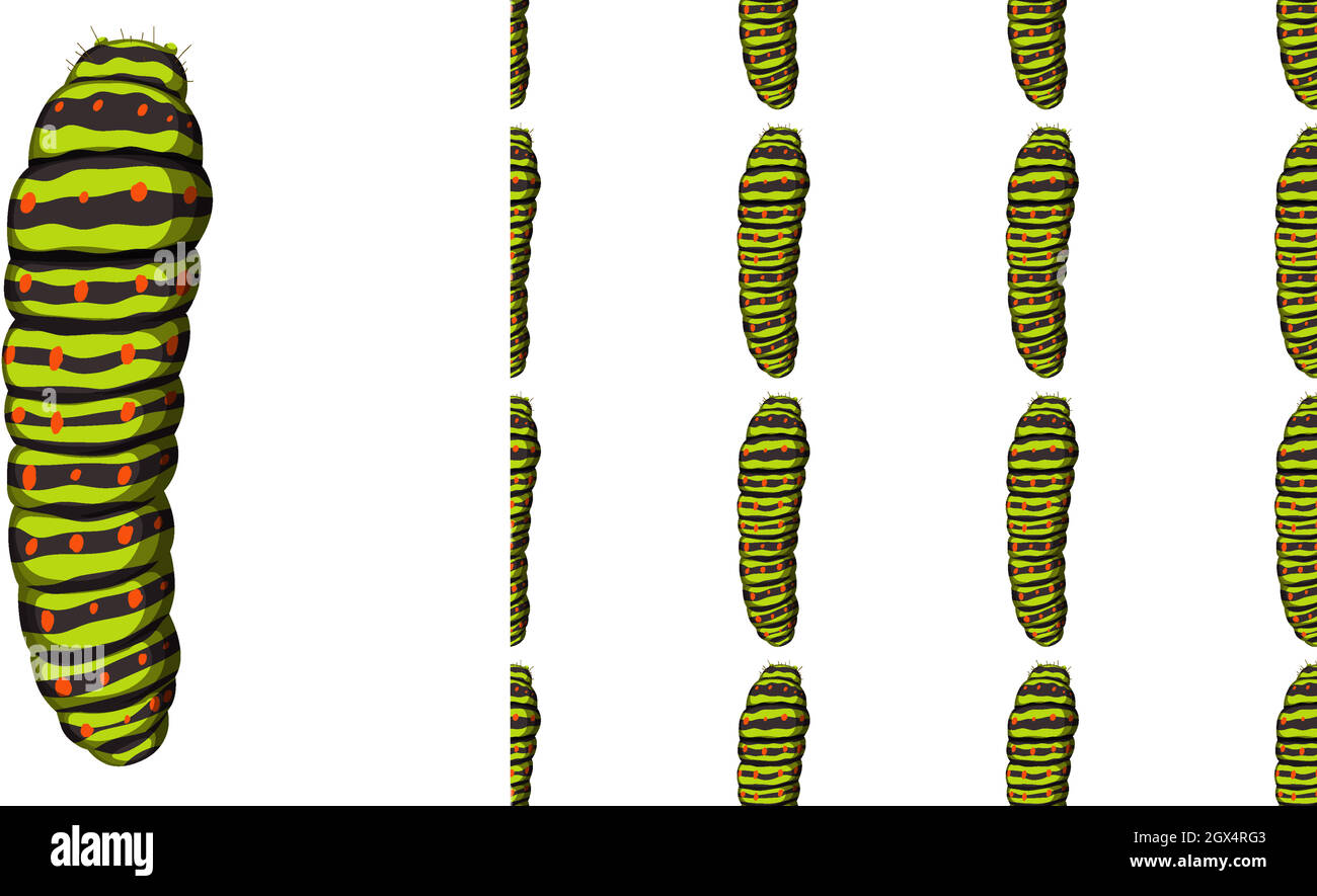 Insecto de Caterpillar aislado sobre fondo blanco y sin costuras Ilustración del Vector
