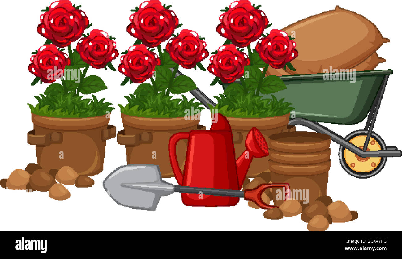 Rosas en el jardín Imágenes vectoriales de stock - Alamy