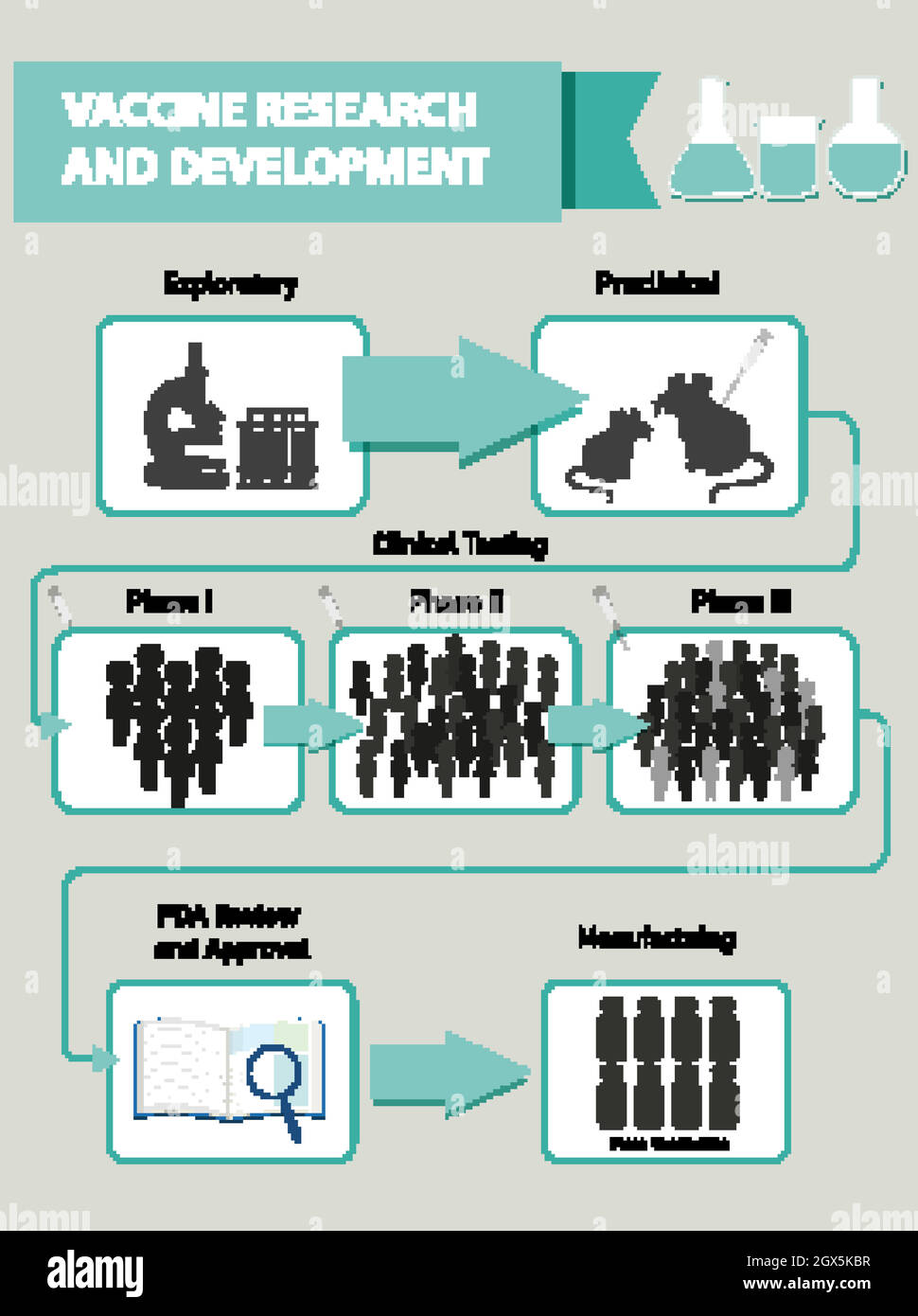 Infografía de investigación y desarrollo de vacunas Ilustración del Vector