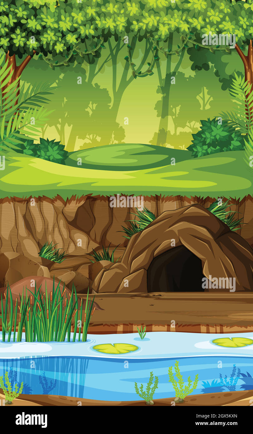 Un fondo de selva tropical Imagen Vector de stock - Alamy