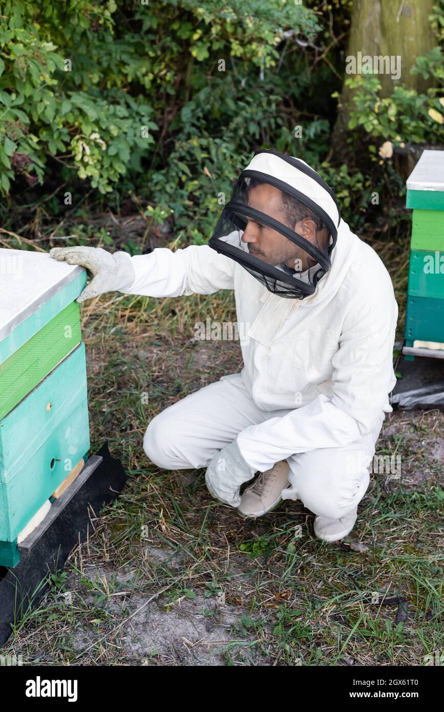 apicultor en traje protector y casco cerca de colmena en apiario Fotografía  de stock - Alamy