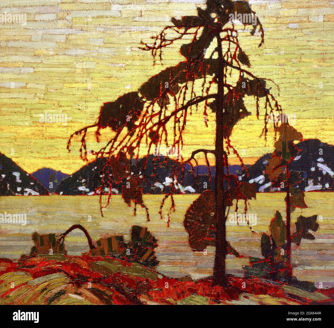 Obra de tom thomson Fotos e Imágenes de stock Alamy