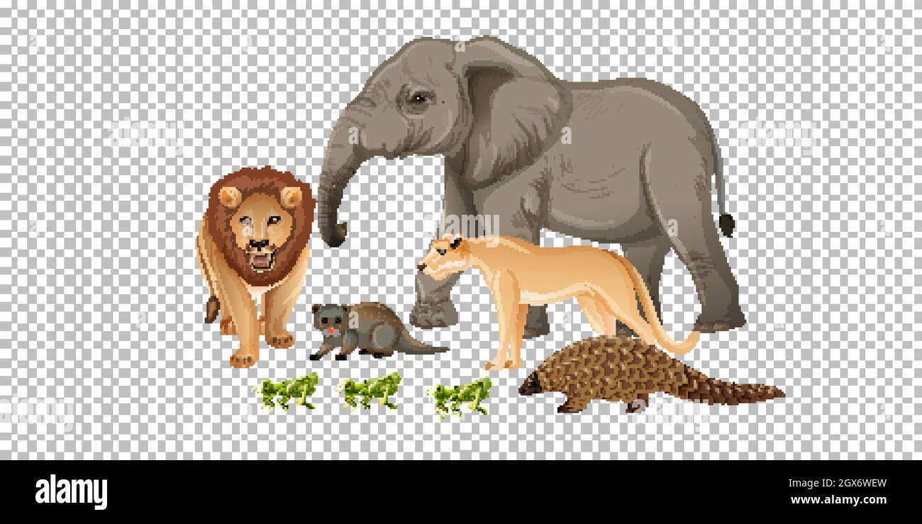 Grupo De Animales Salvajes Africanos Sobre Fondo Transparente Imagen 