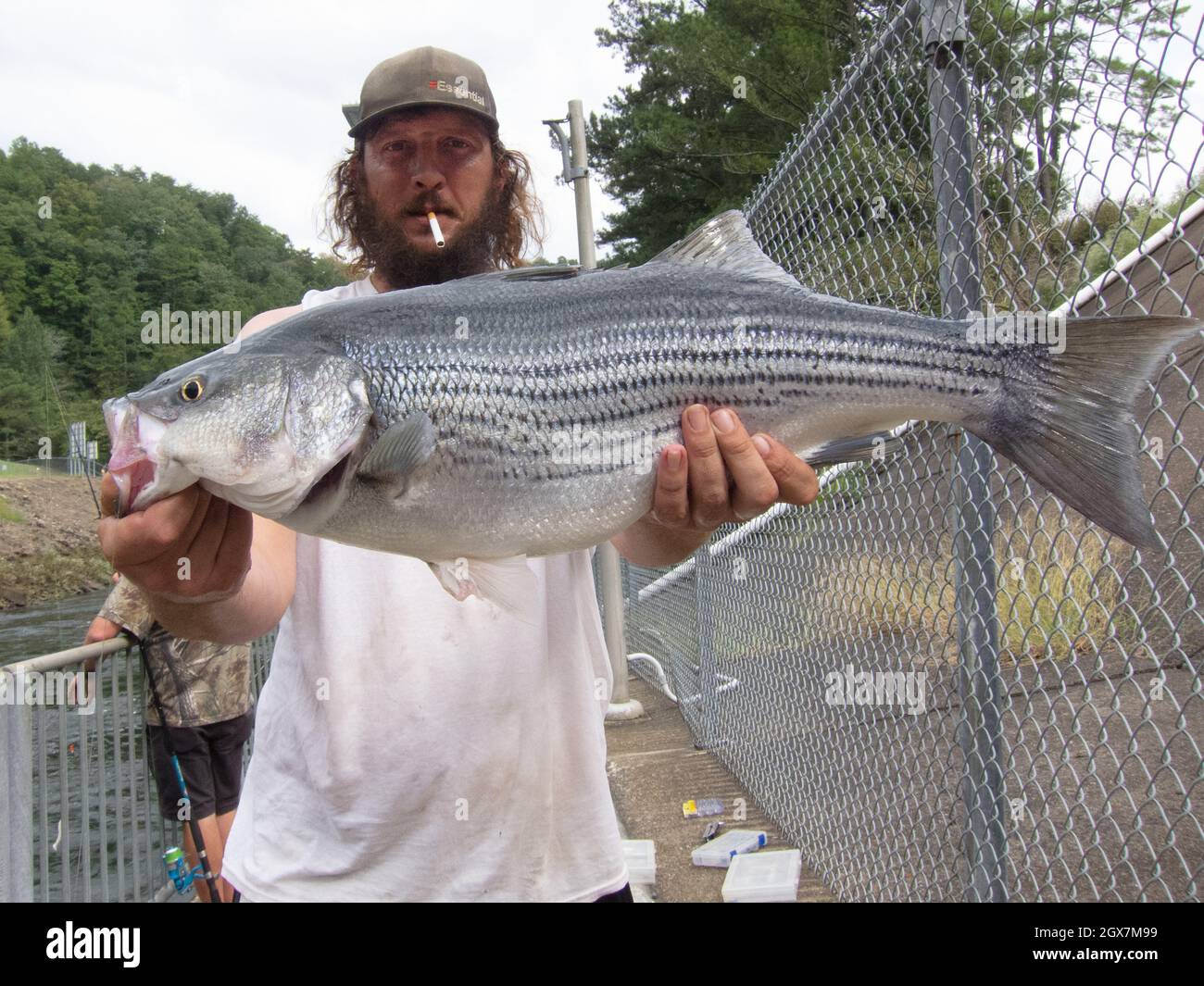 Orgulloso pescador de Alabama mostrando su pesca de bajo a rayas. Foto de stock