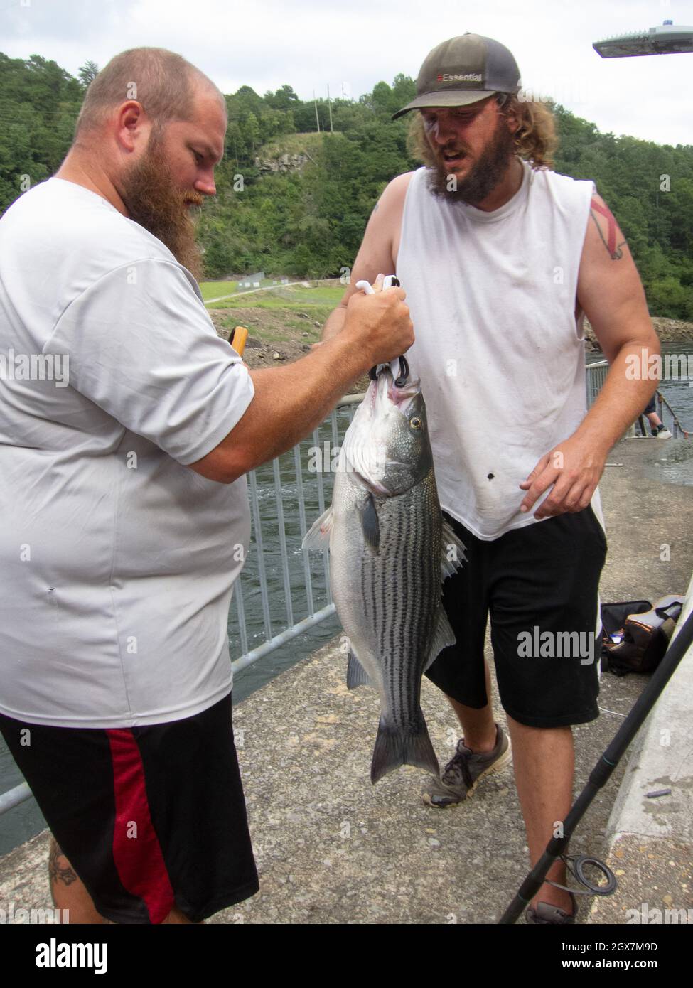 Dos pescadores de Alabama pesan su captura. Foto de stock