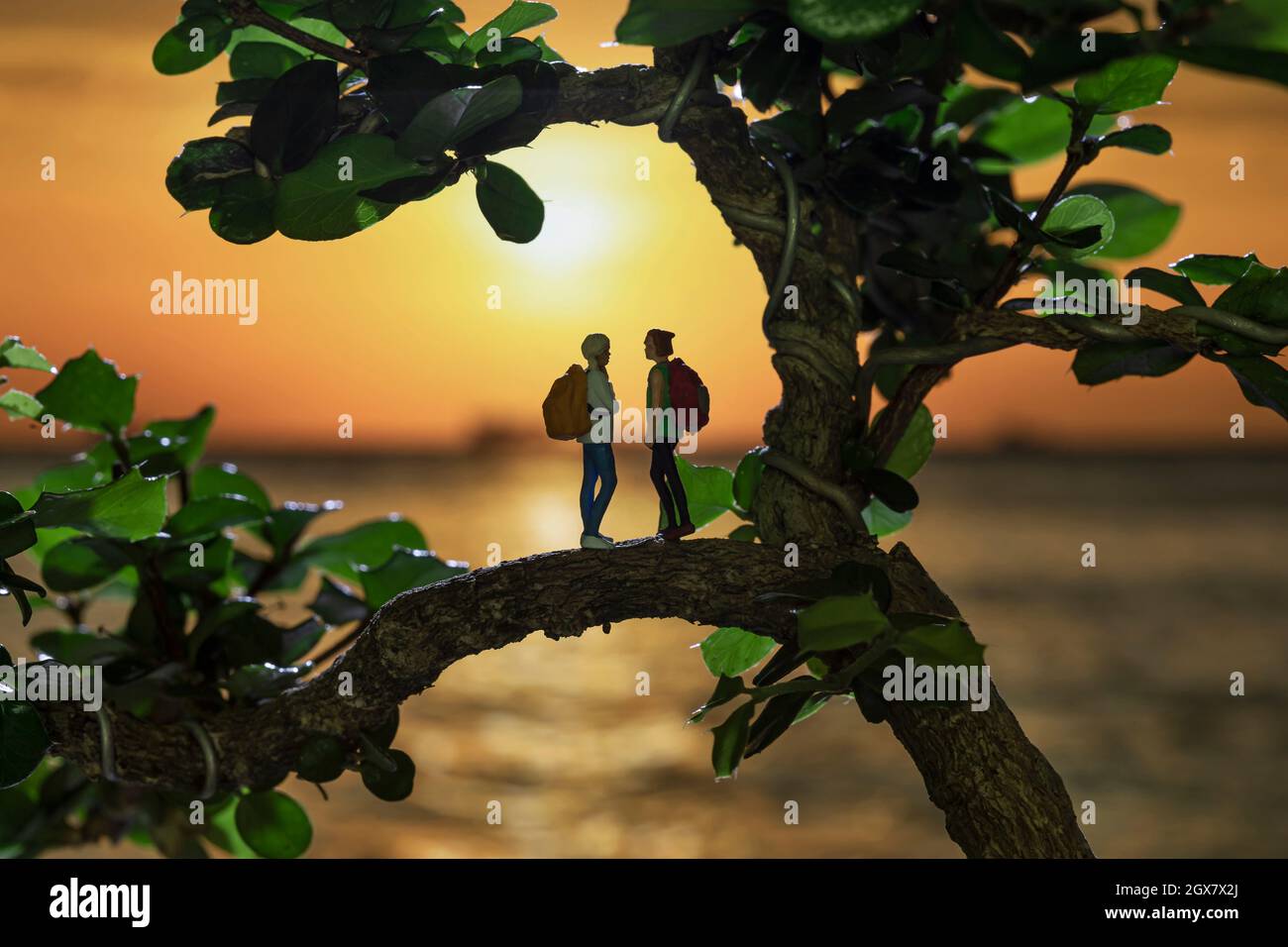 Miniatura mochilero de pie sobre los árboles en una silueta puesta de sol fondo. Foto de stock