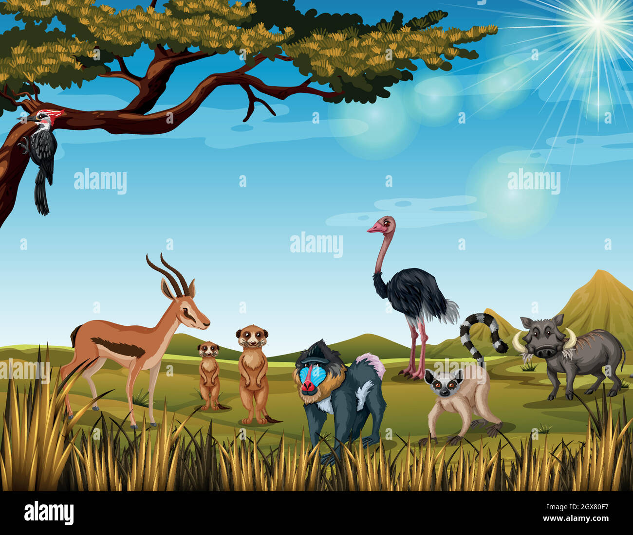 Animales en el safari abierto Ilustración del Vector