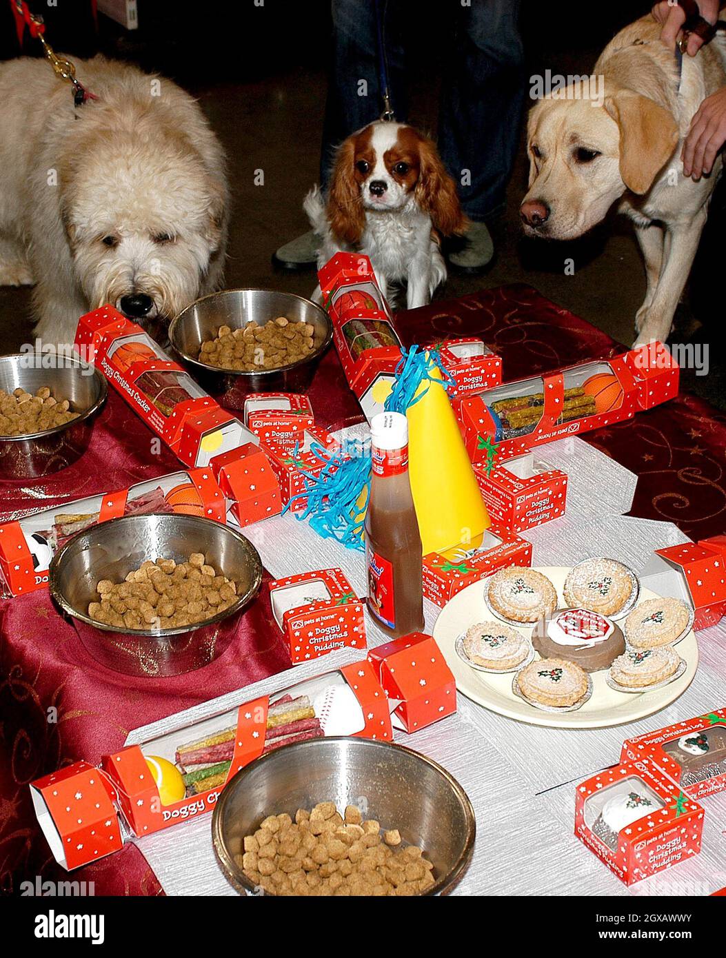 La primera cena de Navidad para perros del Reino Unido se estrena hoy, 26  de noviembre, en la tienda de animales domésticos en casa de Raynes Park  Pets at Home, en el