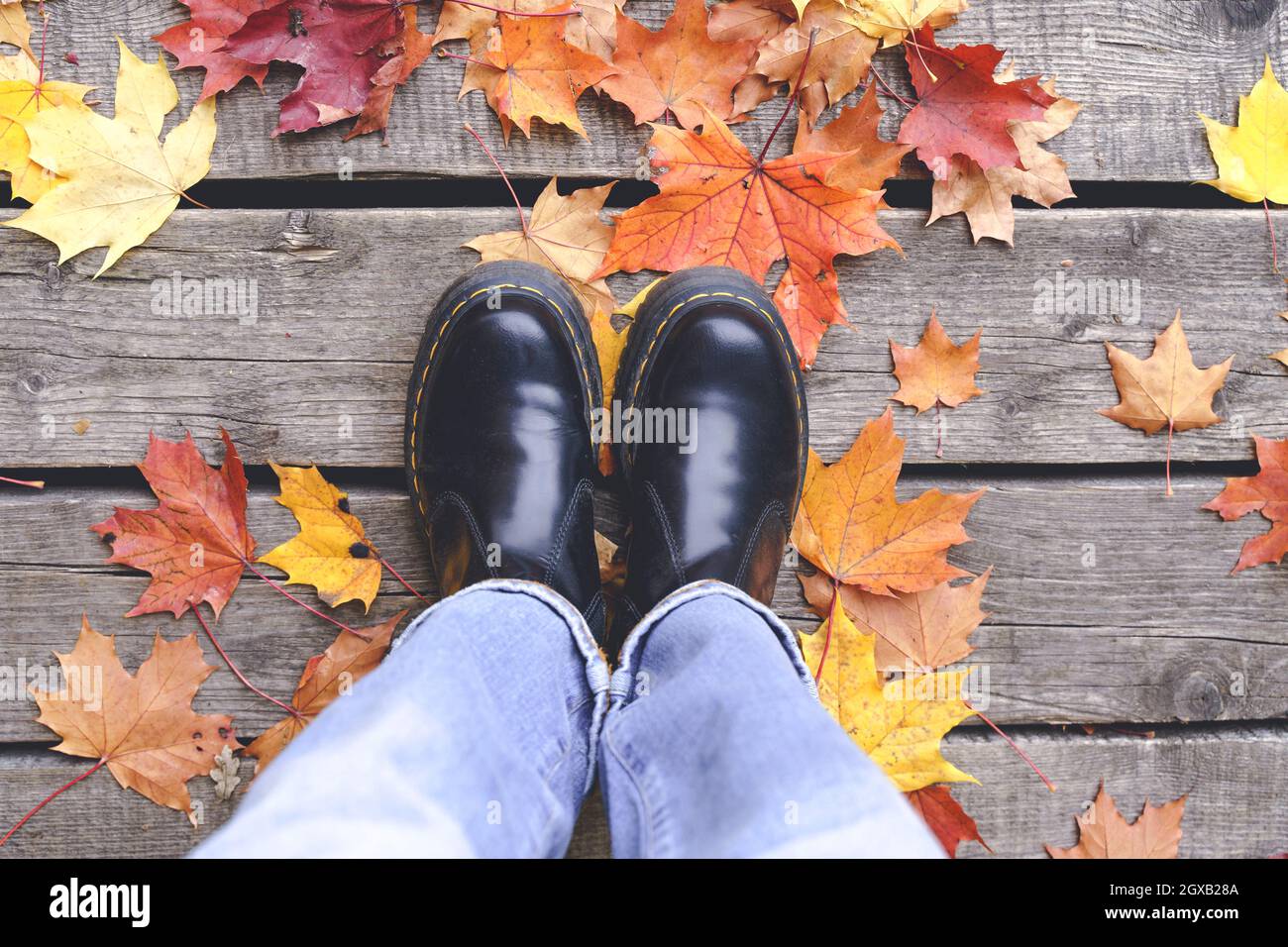 Piernas femeninas en calcetines rojos y elegantes zapatos negros sobre un  fondo de color rosa. tendencias de la moda, zapatos de mujer hermosa  Fotografía de stock - Alamy