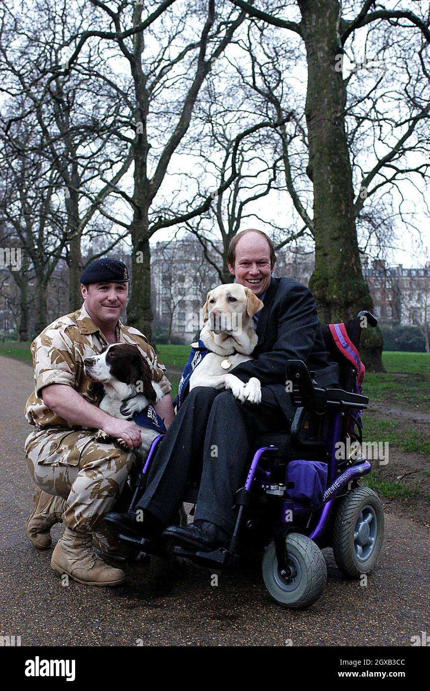 Buster, el inglés Springer Spaniel de 5 años que detectó armas y