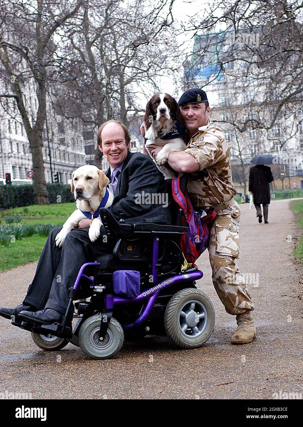 Buster, el inglés Springer Spaniel de 5 años que detectó armas y