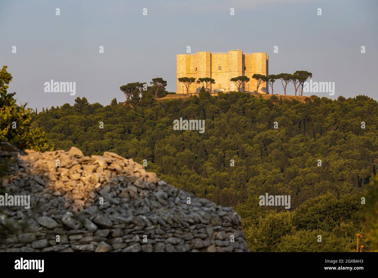 Castillo del Monte, castillo construido en forma octogonal por el Santo emperador romano Federico II en el siglo 13 en la región de Apulia, Italia. Foto de stock