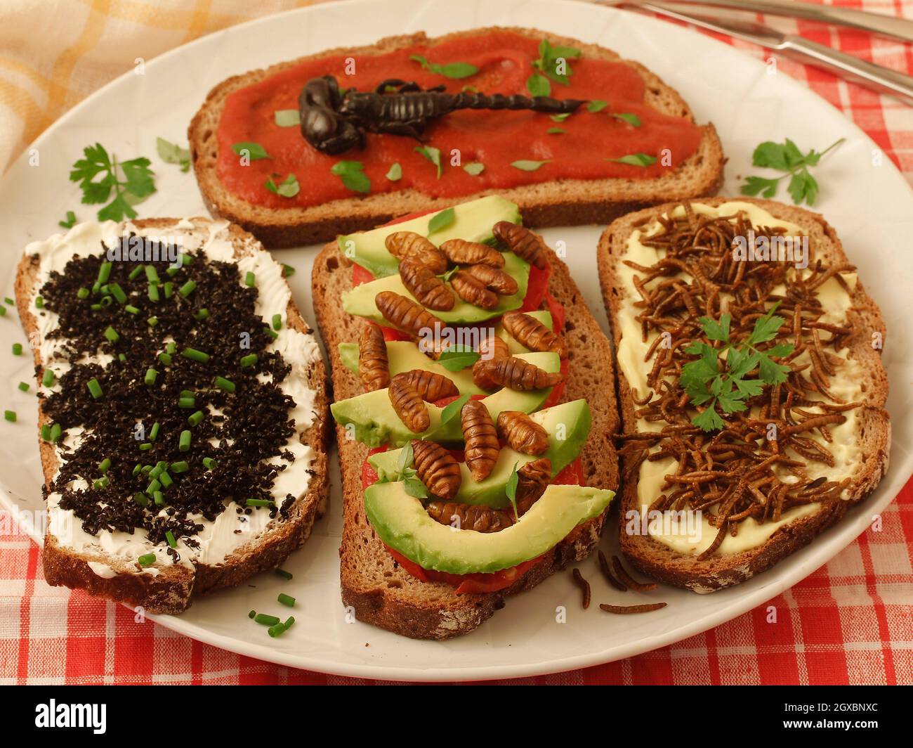 Insectos comestibles y arácnidos. Arriba: Escorpión negro con tomate frito y albahaca. Abajo, de izquierda a derecha: Hormigas negras con queso y cebolletas, Foto de stock