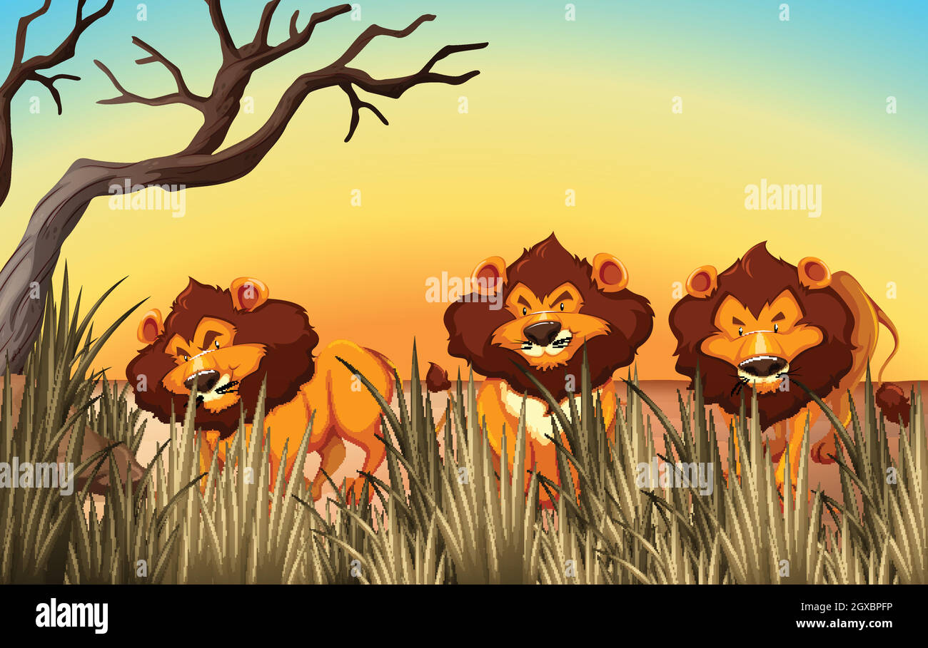 Tres leones en la tierra Ilustración del Vector