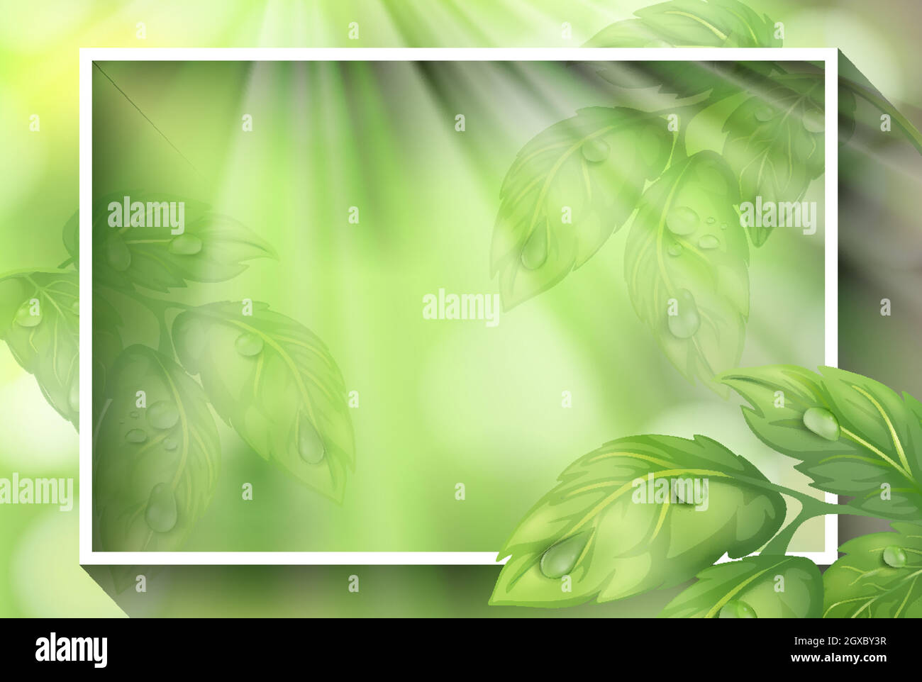 Plantilla De Borde Con Hojas Verdes Imagen Vector De Stock Alamy 2209