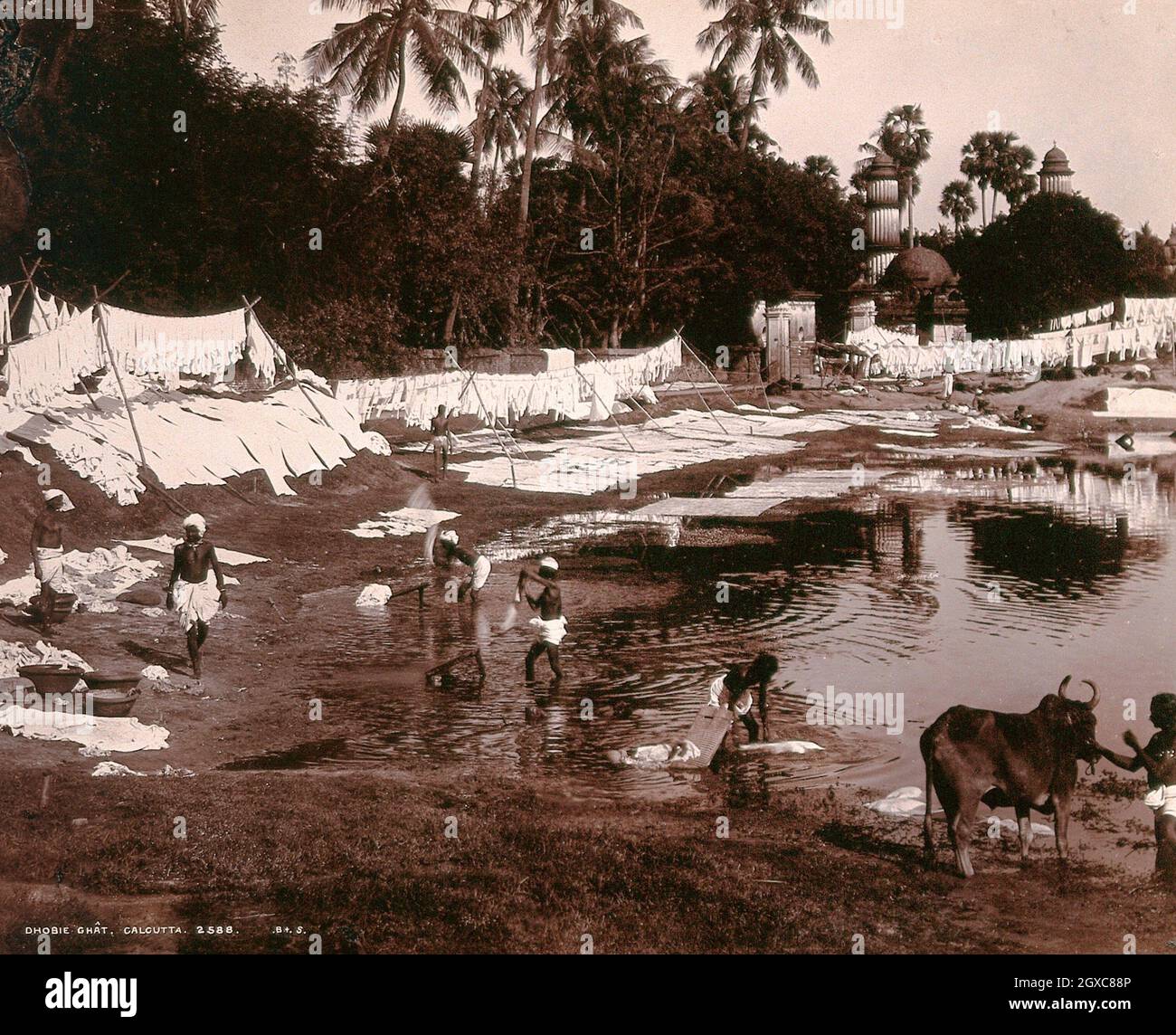 The Dhoi Ghat, Calcuta, India: Lavar la ropa y colgarla para secarla junto a la piscina. Fotografía, aprox. 1890. - Lettering dhobie Ghât, Calcuta Foto de stock