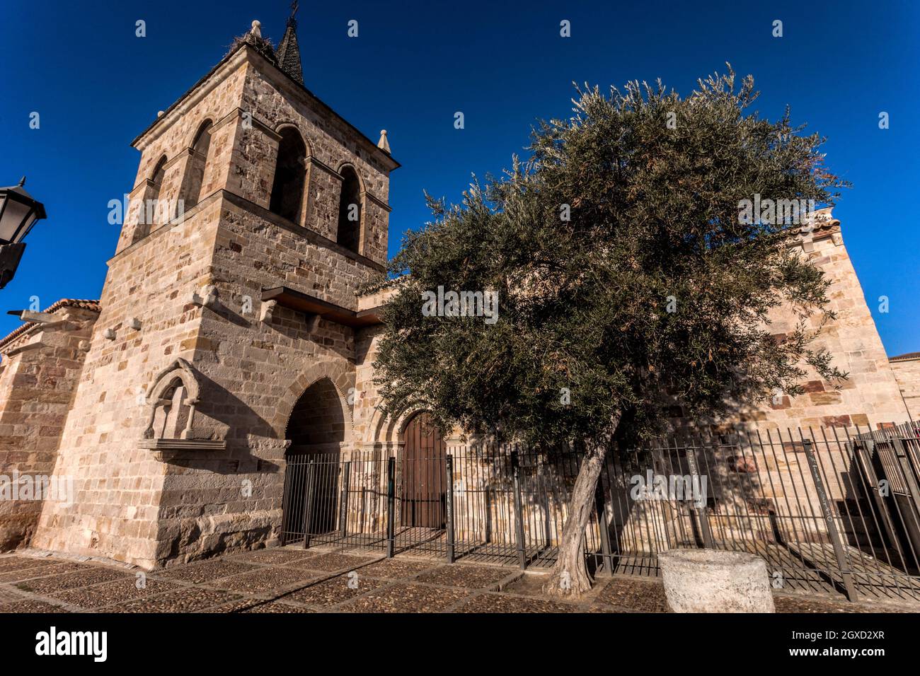 Iglesia de San Cipriano, Plaza de San Cipriano, Ciudad de Zamora, Provincia de Zamora, Castilla y León, España, Europa. Foto de stock