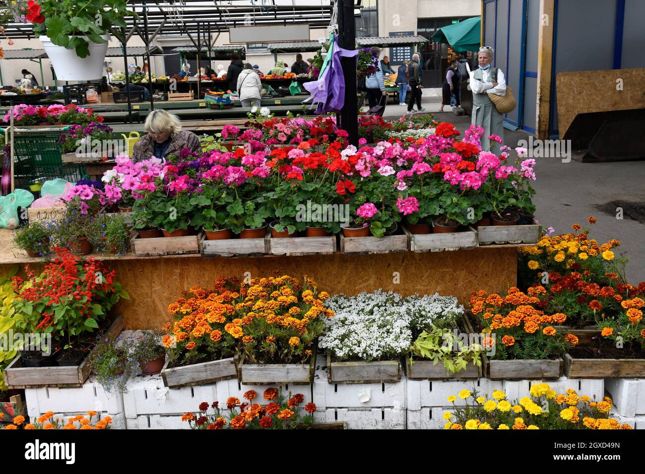Vendedor de flores en el mercado central de Riga, Letonia. Foto de stock