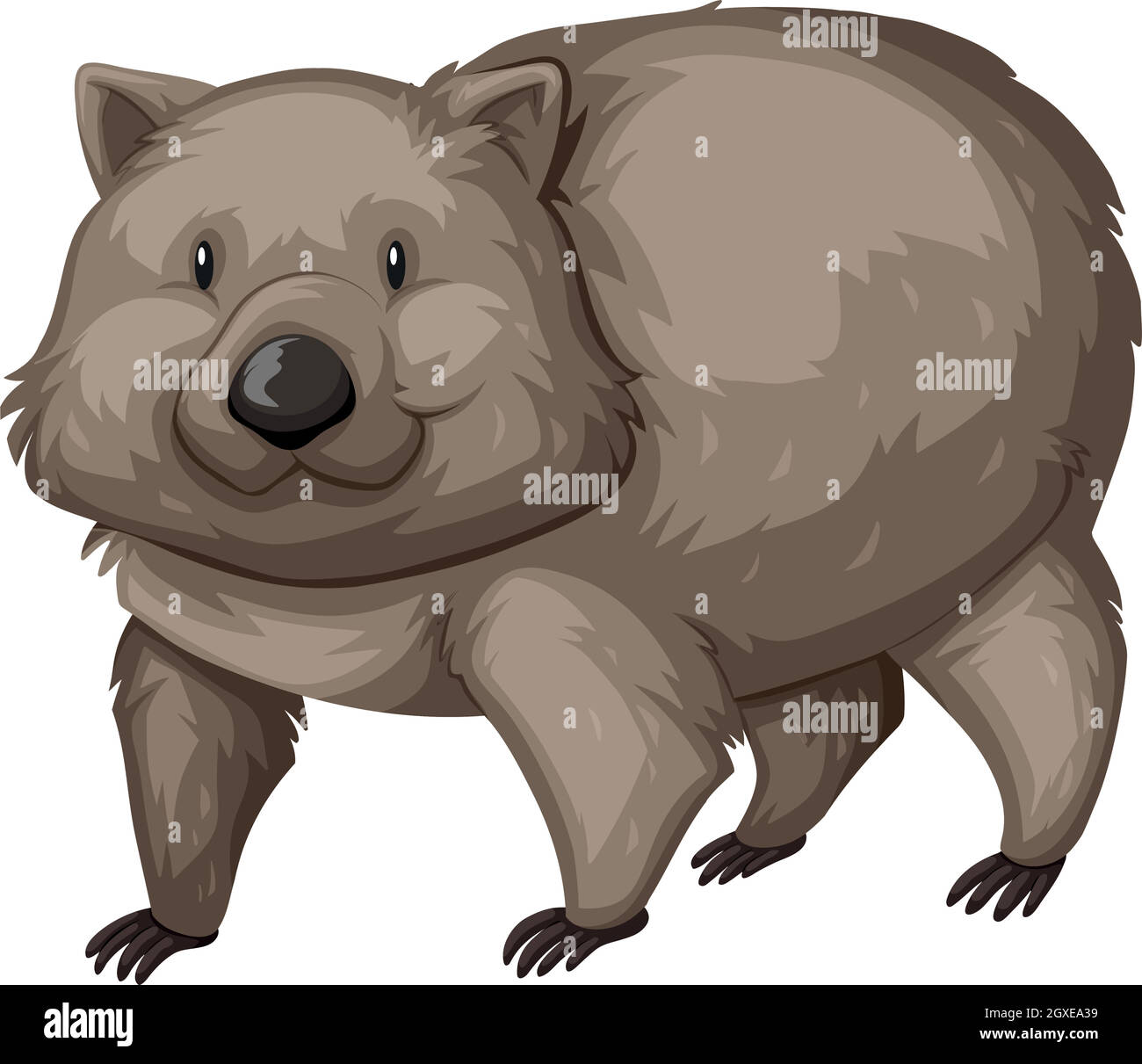 Wombat salvaje sobre fondo blanco Ilustración del Vector