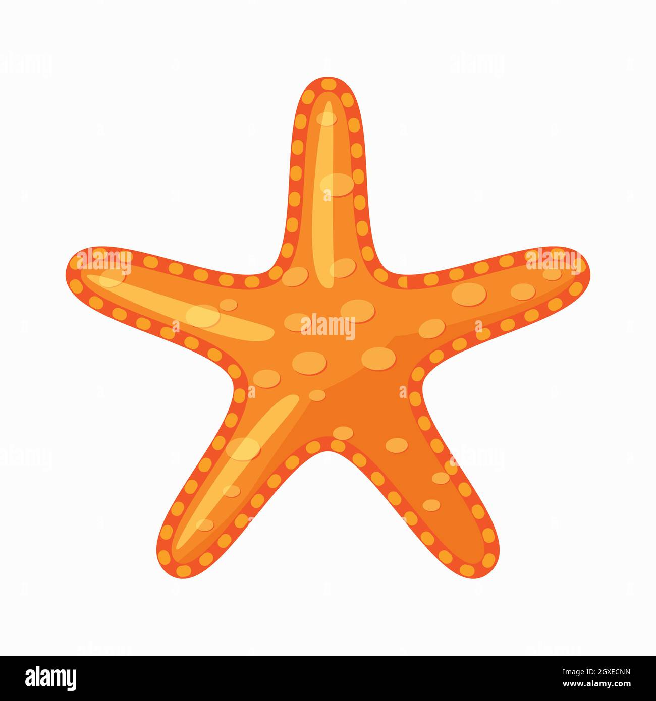 Icono de estrella de mar en estilo de dibujos animados aislado sobre fondo  blanco Fotografía de stock - Alamy