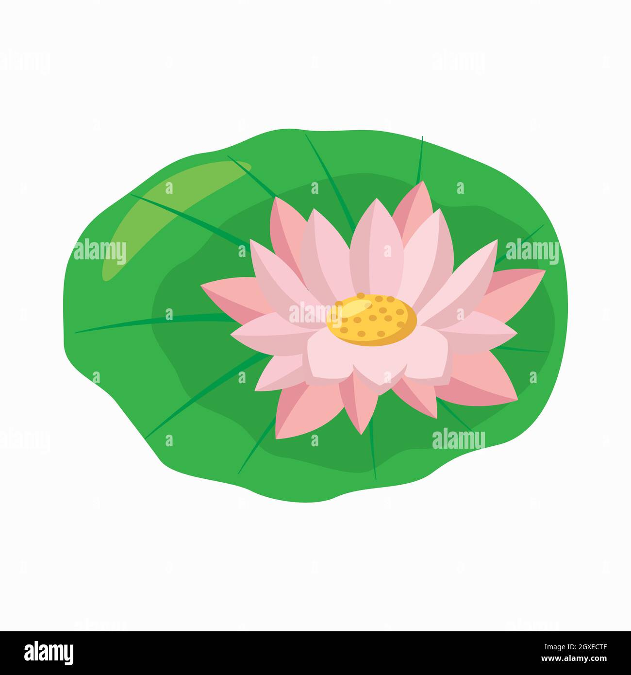 Flor de loto sobre icono de hoja verde en estilo de dibujos animados aislados sobre fondo blanco Fotografía de stock - Alamy Flor de loto sobre icono de hoja verde en estilo de dibujos animados aislados sobre fondo blanco Fotografía de stock - Alamy