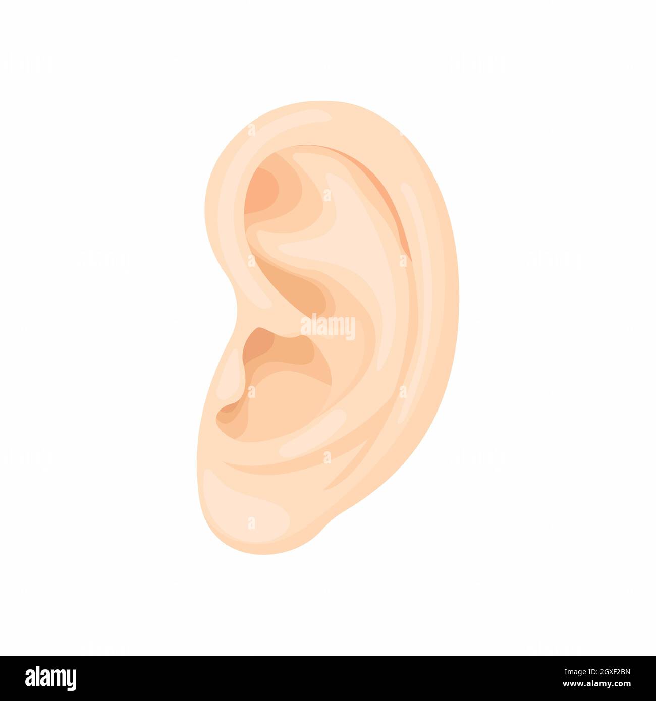 Icono de oreja humana en estilo de dibujos animados sobre un fondo blanco  Fotografía de stock - Alamy
