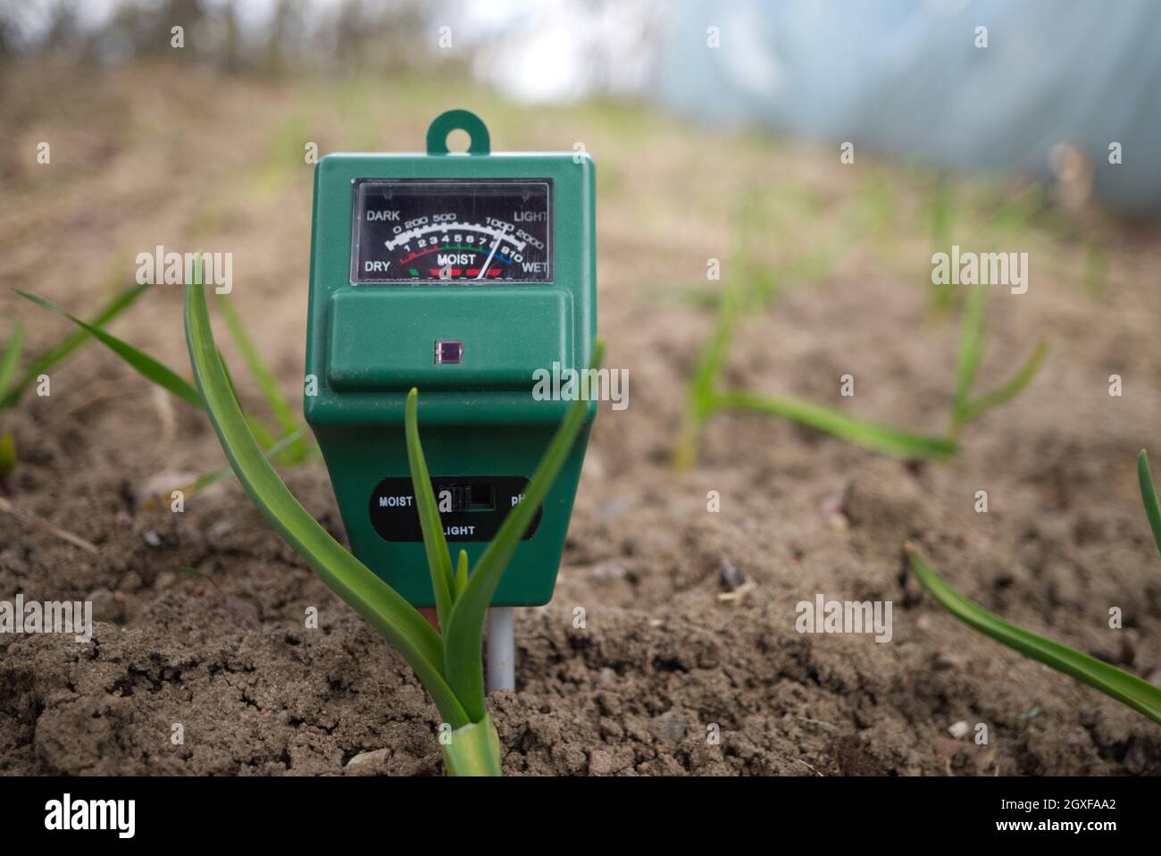 Medidor agrícola para medir el contenido de humedad y pH del suelo en un  campo con plántulas de primavera verde durante el cultivo Fotografía de  stock - Alamy