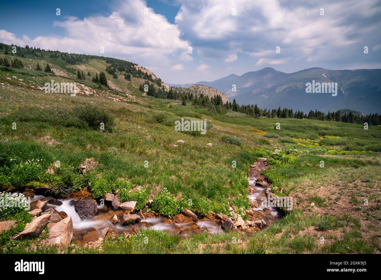 Arroyo que fluye a través del paisaje de montaña, Winter Park, Grand County, Colorado, Estados Unidos Foto de stock