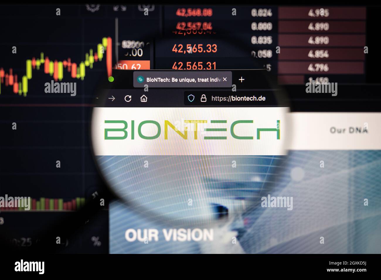 El logotipo de la empresa de BioNTech en un sitio web con desarrollos borrosos del mercado de valores en el fondo, visto en una pantalla de computadora a través de una lupa Foto de stock