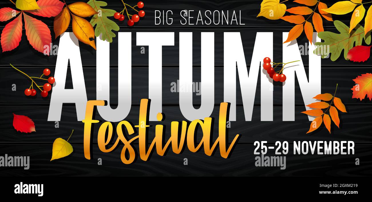 Festival de otoño de noviembre anuncio banner de invitación con hojas caídas Ilustración del Vector