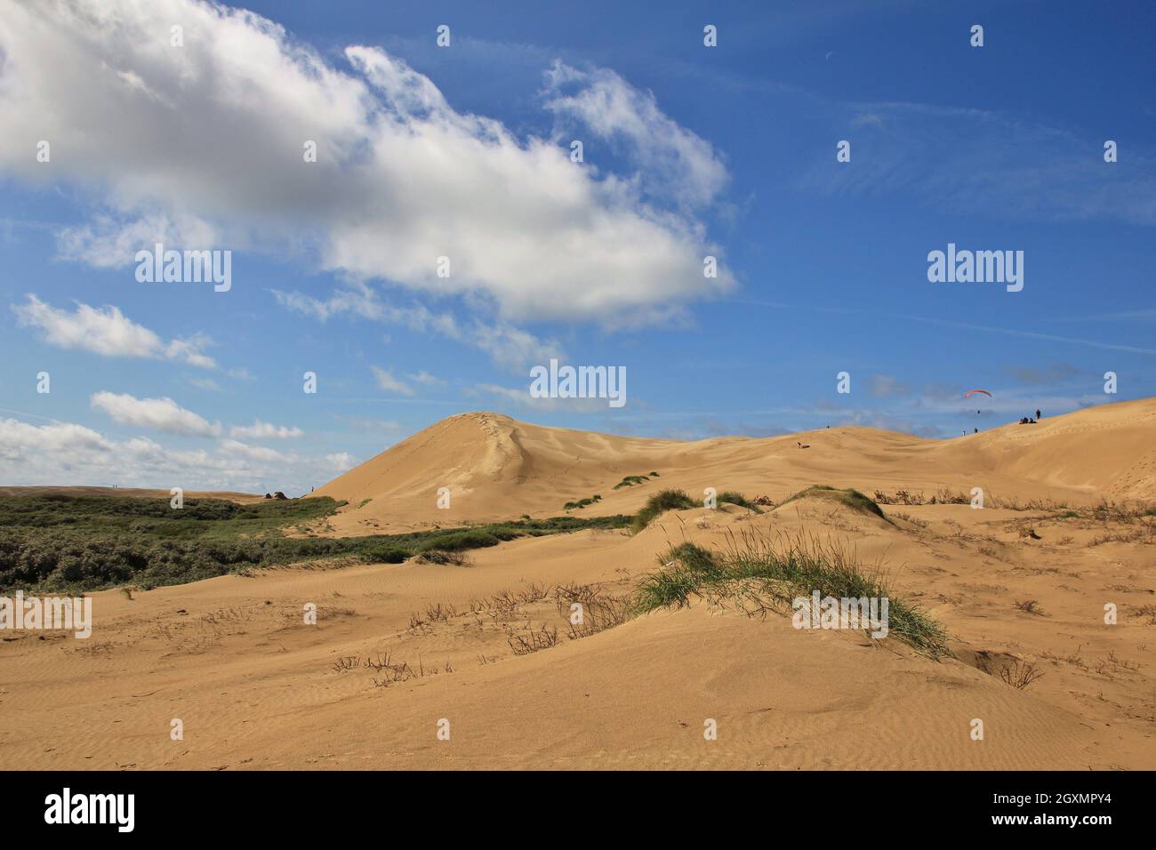 Las dunas de arena en Dinamarca. Rubjerg Knude, costa oeste. Foto de stock