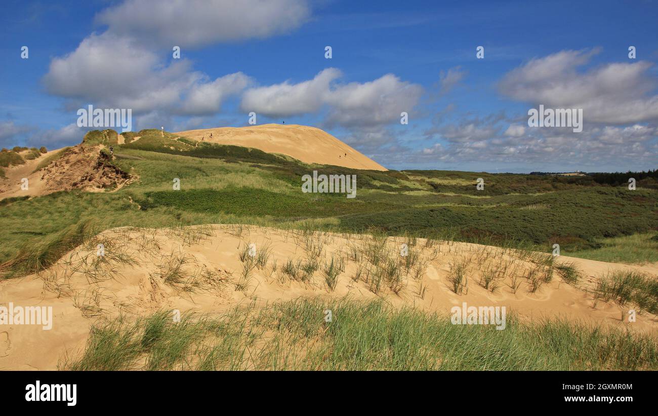 Rubjerg Knude, única duna de arena en la costa oeste de Dinamarca. Foto de stock