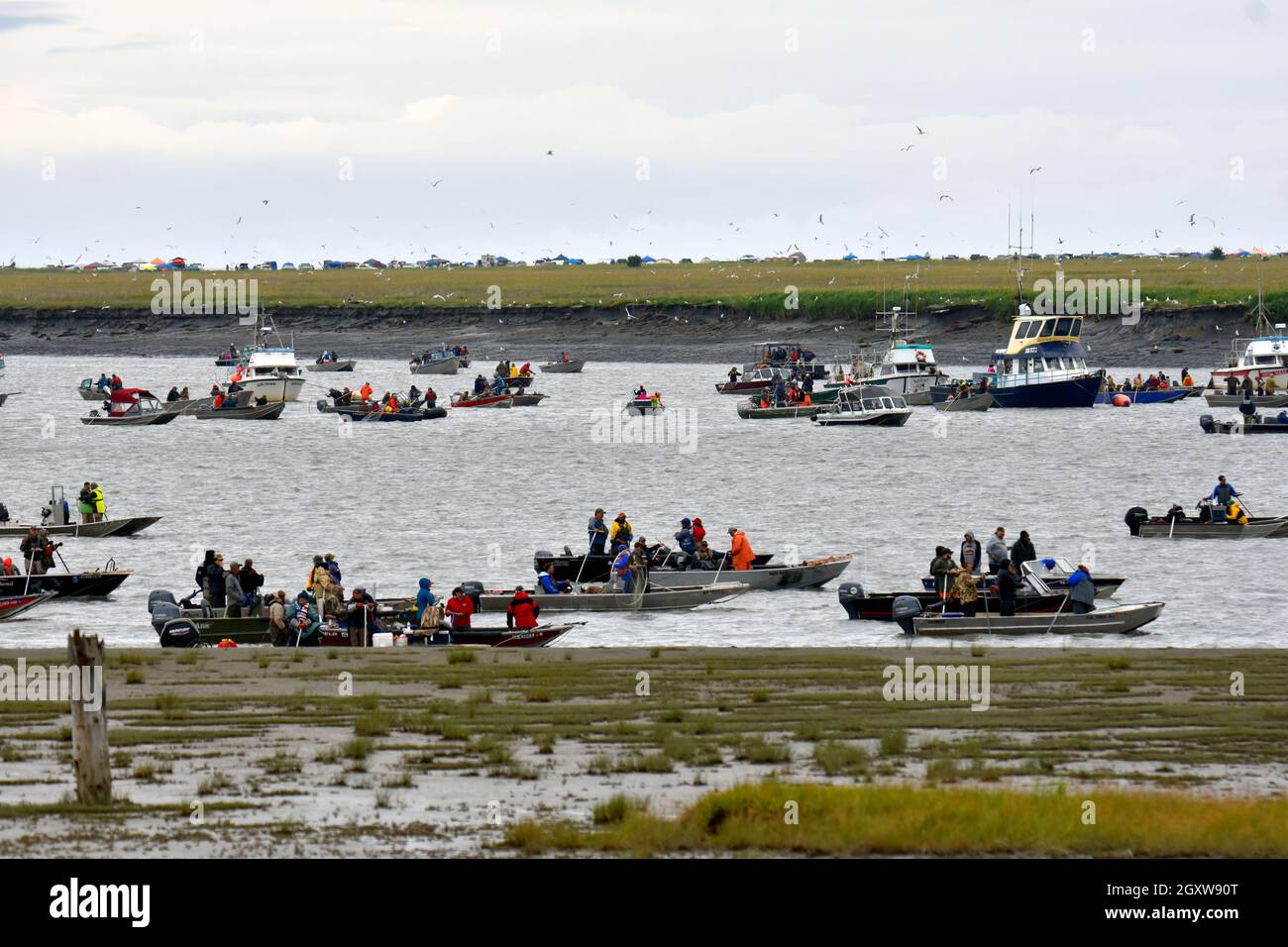 Pesca recreativa popular durante la temporada de la carrera de salmón