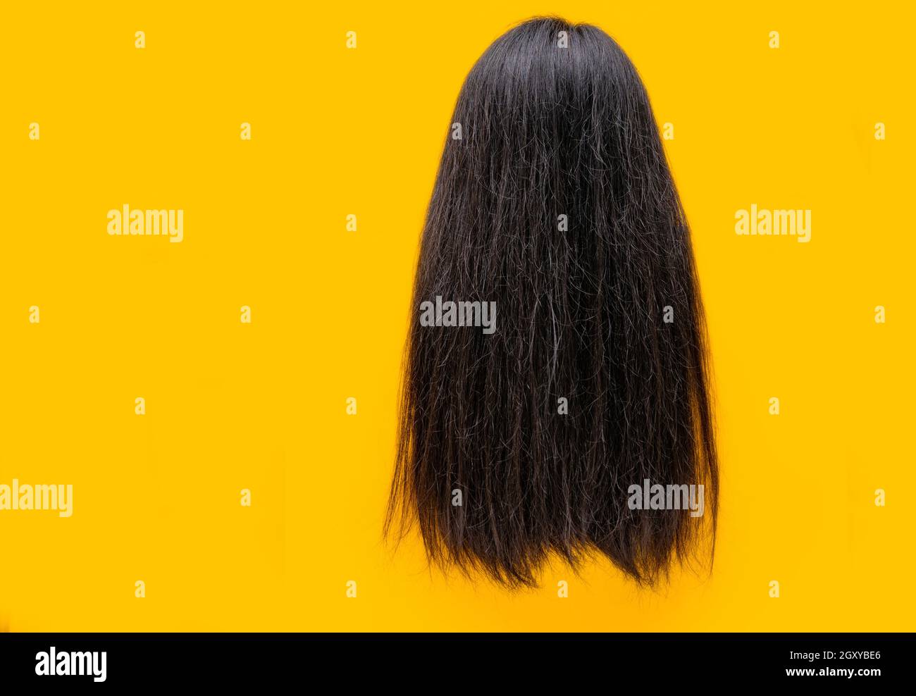 Cabello dañado aislado sobre fondo amarillo. Problema de cabello seco y  frágil. Pelo largo negro con textura seca. Mujer asiática con el pelo débil  y quebradizo nee Fotografía de stock - Alamy