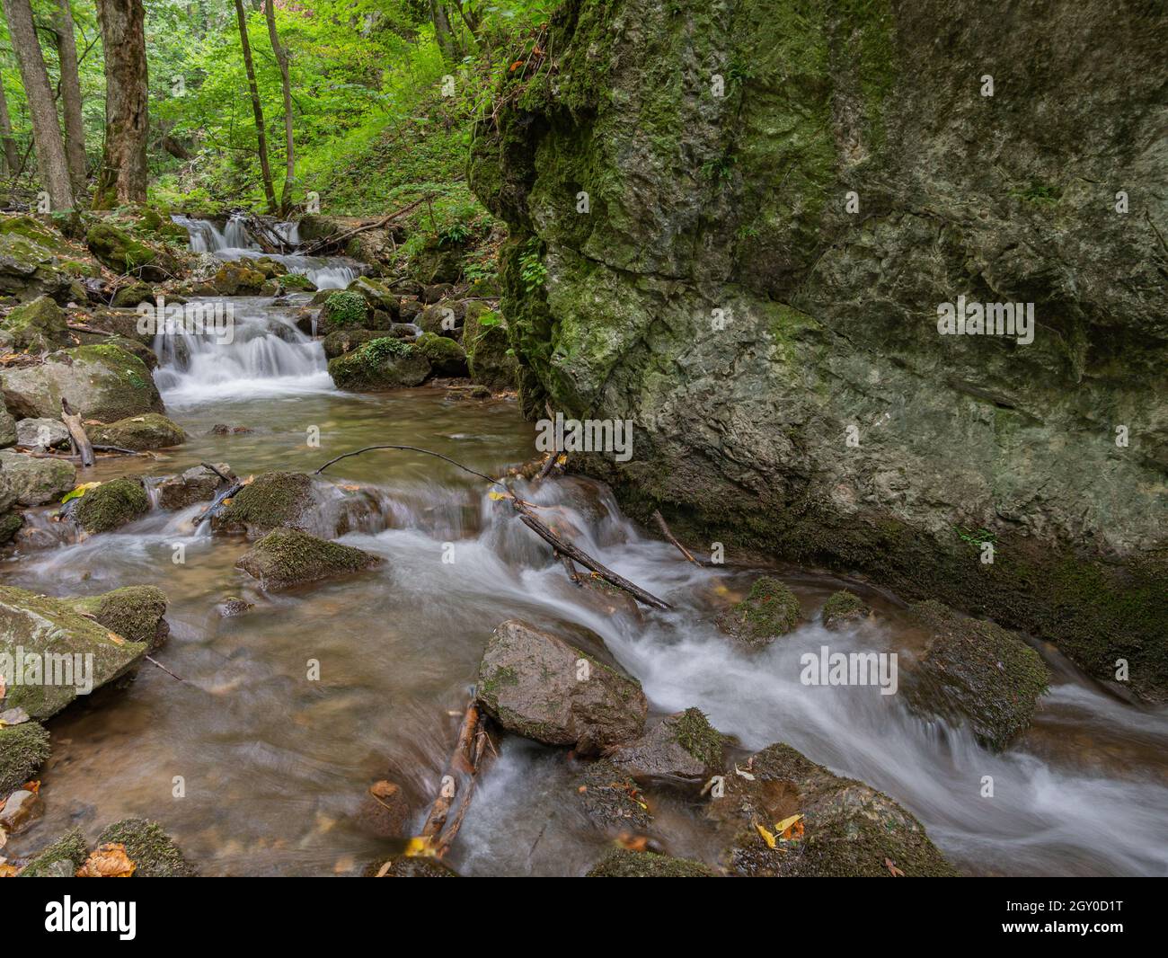 Un torrente muy hermoso con varias pequeñas cascadas en el medio del bosque Foto de stock