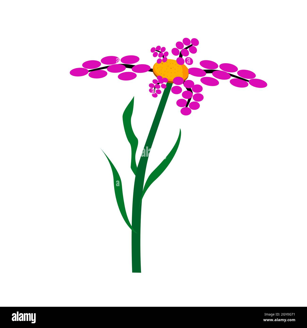 Flor salvaje rosa aislada sobre blanco. Tallo verde con hojas largas. El medio amarillo está moteado. Vector EPS10. Ilustración del Vector