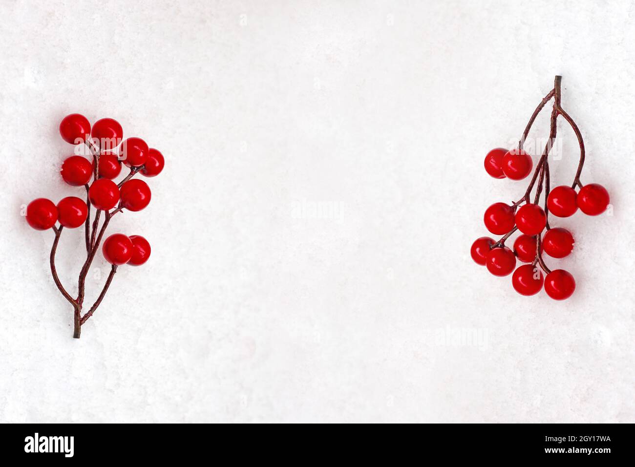 Bayas rojas sobre fondo nevado. Ideas para la época de Navidad. Foto de stock