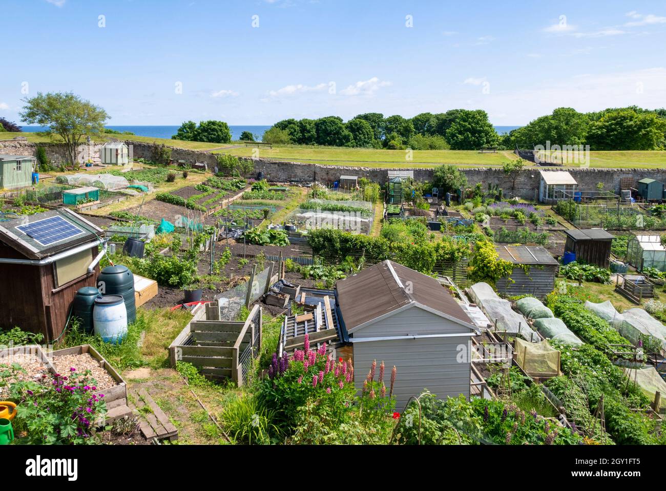 Asignaciones de Lions House o asignaciones de la comunidad berwick en Berwick-upon-Tweed o Berwick-on-Tweed Northumberland England GB UK Europe Foto de stock