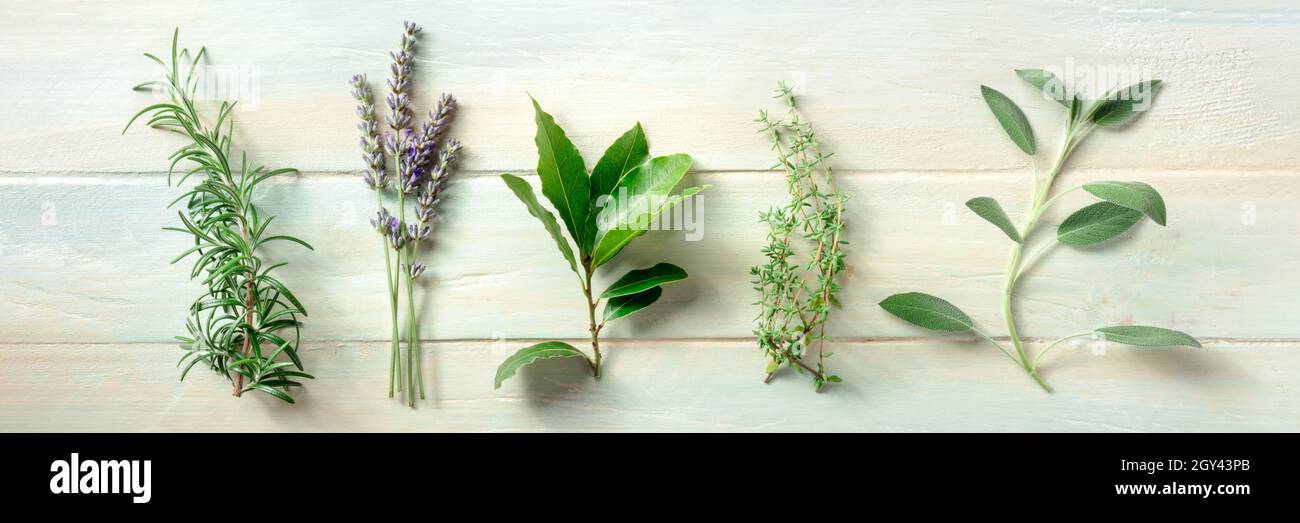 Hierbas aromáticas frescas, sobre el techo plano sobre un fondo rústico de madera. Romero, lavanda, hoja de laurel, tomillo y salvia, plantas culinarias Foto de stock