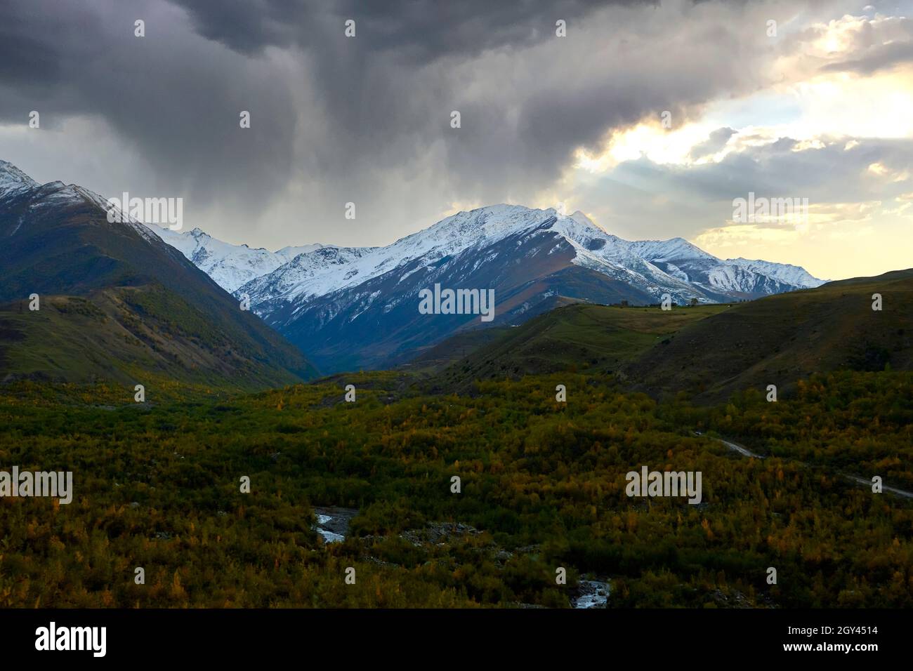 Hermoso Río Mountain en Canadá. Otoño en Canadá. Agua actual. Árbol en la piedra. Agua corriente. Paisaje cascada en canada. Los arces rojos leav Foto de stock