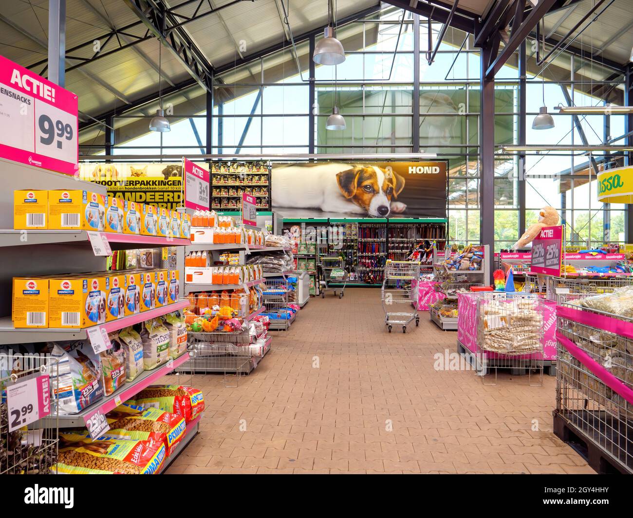 fluctuar Estrella actualizar Gran selección de alimentos para mascotas y accesorios dentro de un gran  supermercado Fotografía de stock - Alamy