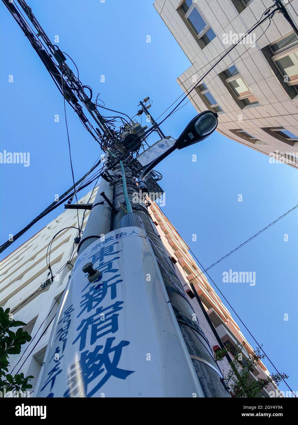 Tokio, Japón - 21 de noviembre de 2019: Polos eléctricos en la calle de Tokio Foto de stock