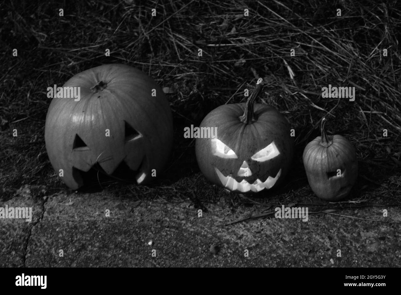 Primer plano escala de grises de calabazas decorativas para Halloween en el suelo Foto de stock