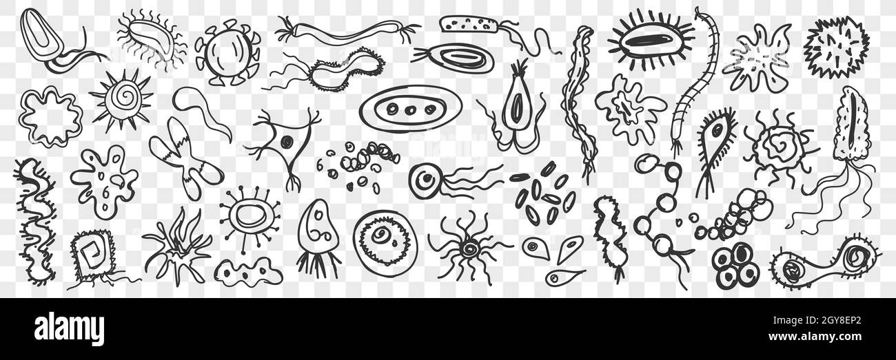 Microorganismos, bacterias fideos conjunto. Colección de graciosas bacterias unicelulares dibujadas a mano de diversas formas que viven en superficies aisladas sobre transparentes Foto de stock