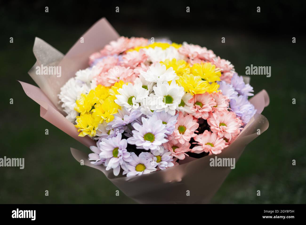 Ramo de flores de colores pastel delicados y multicolor flores de crisantema. Concepto floral Foto de stock