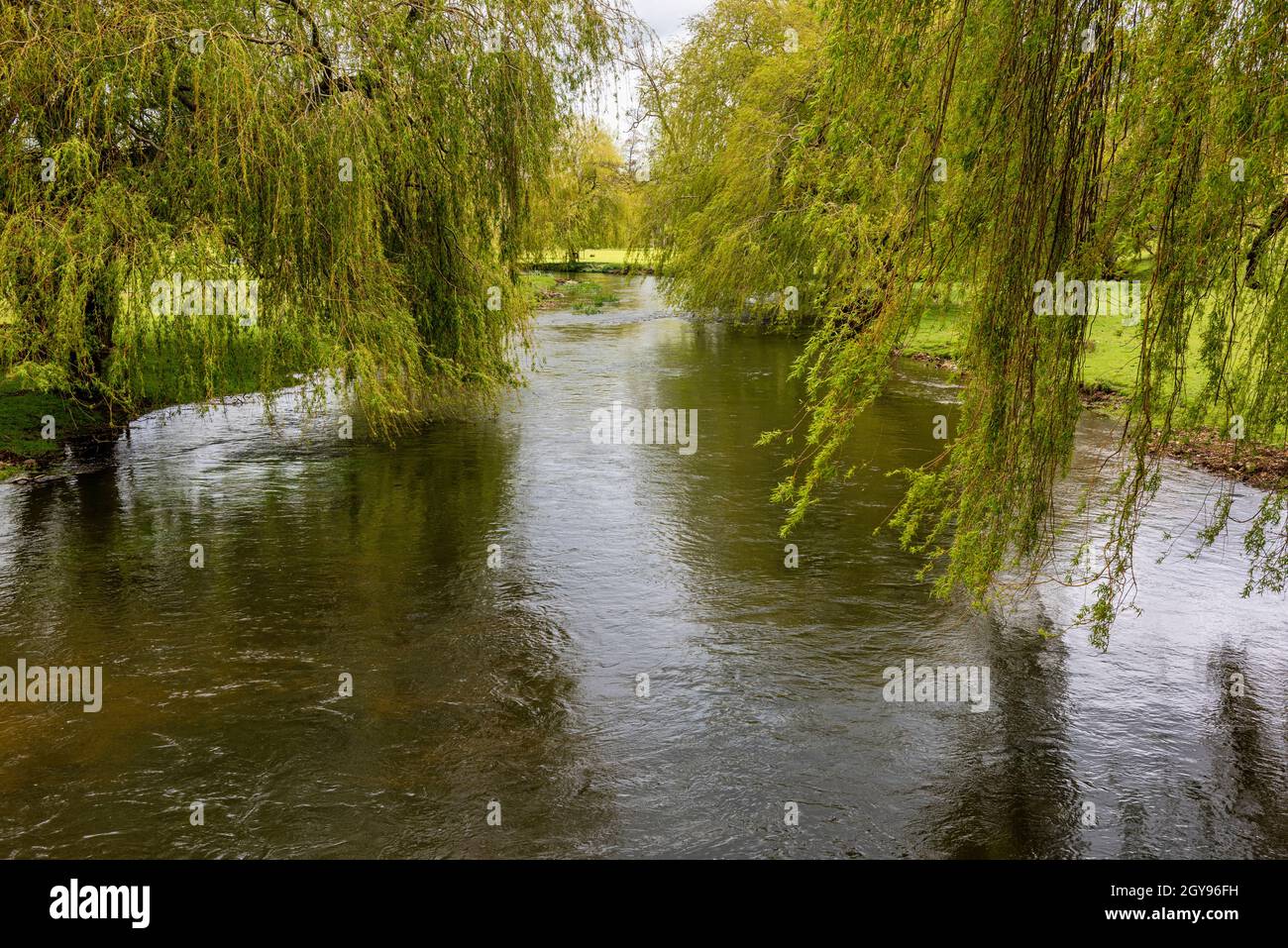 Río Stour cerca de Chilham, Canterbury en Kent, Inglaterra Foto de stock