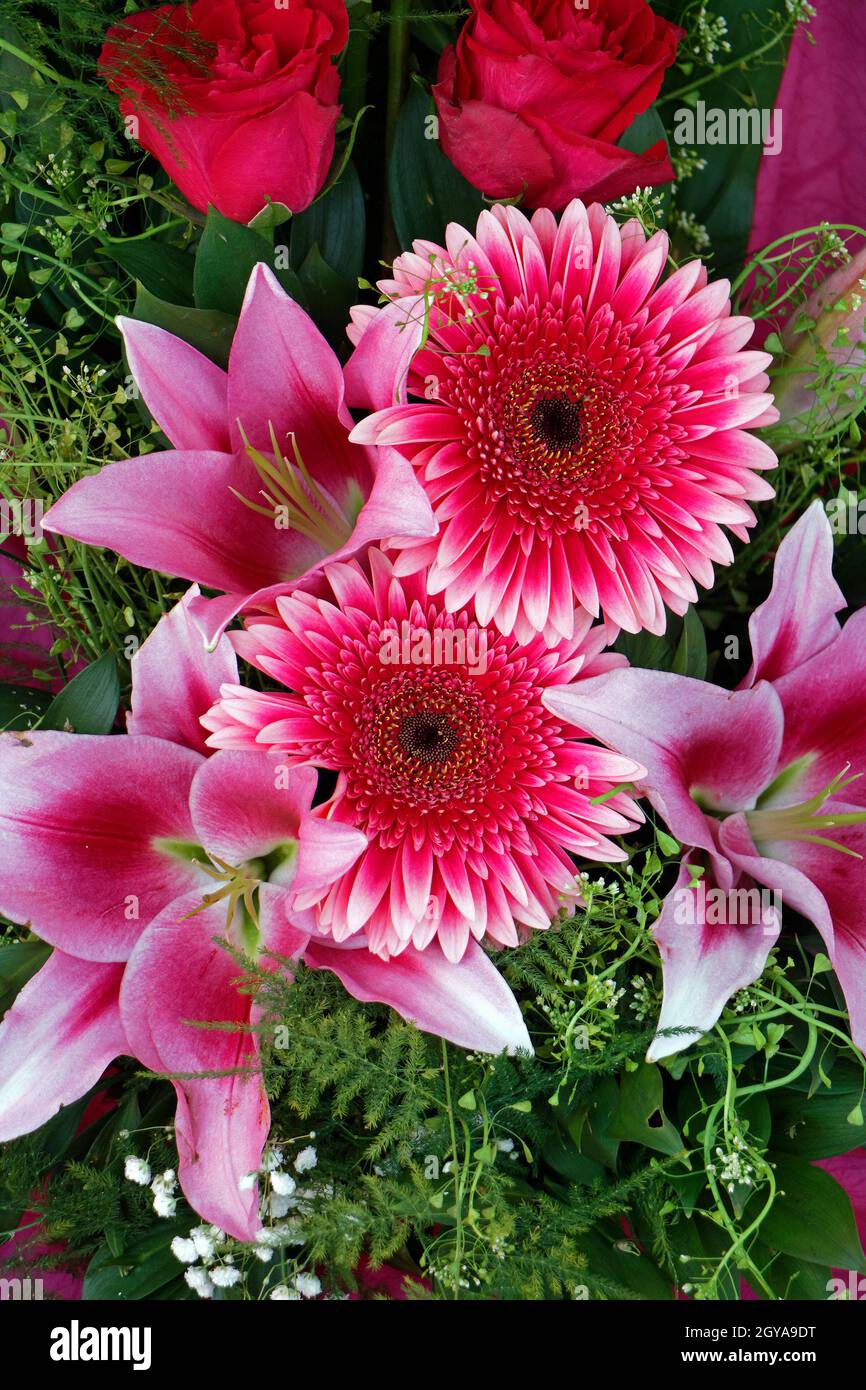 Hermoso arreglo floral con coloridos lirios de gerbera y rosas Fotografía  de stock - Alamy