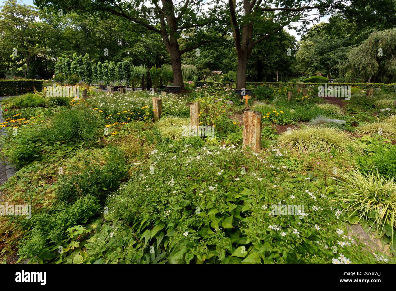 Moderna tumba de la urna 'Bestattungsgarten' en colonia en el cementerio Melaten melaten Foto de stock