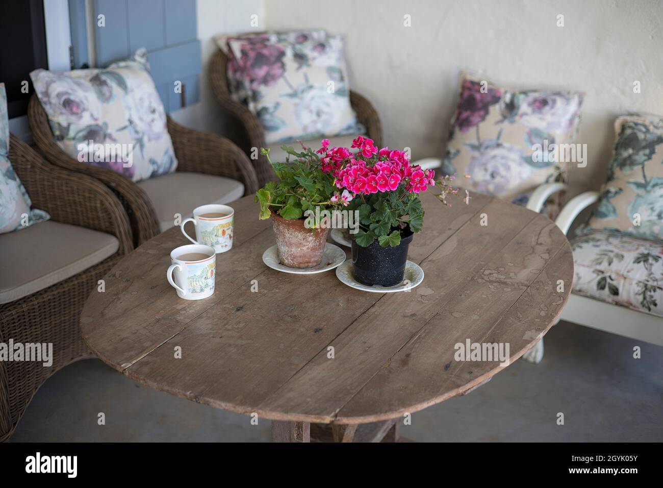 Dos tazas de té caliente en una mesa rústica de madera, plantas de maceta y cinco sillas Morris. Foto de stock