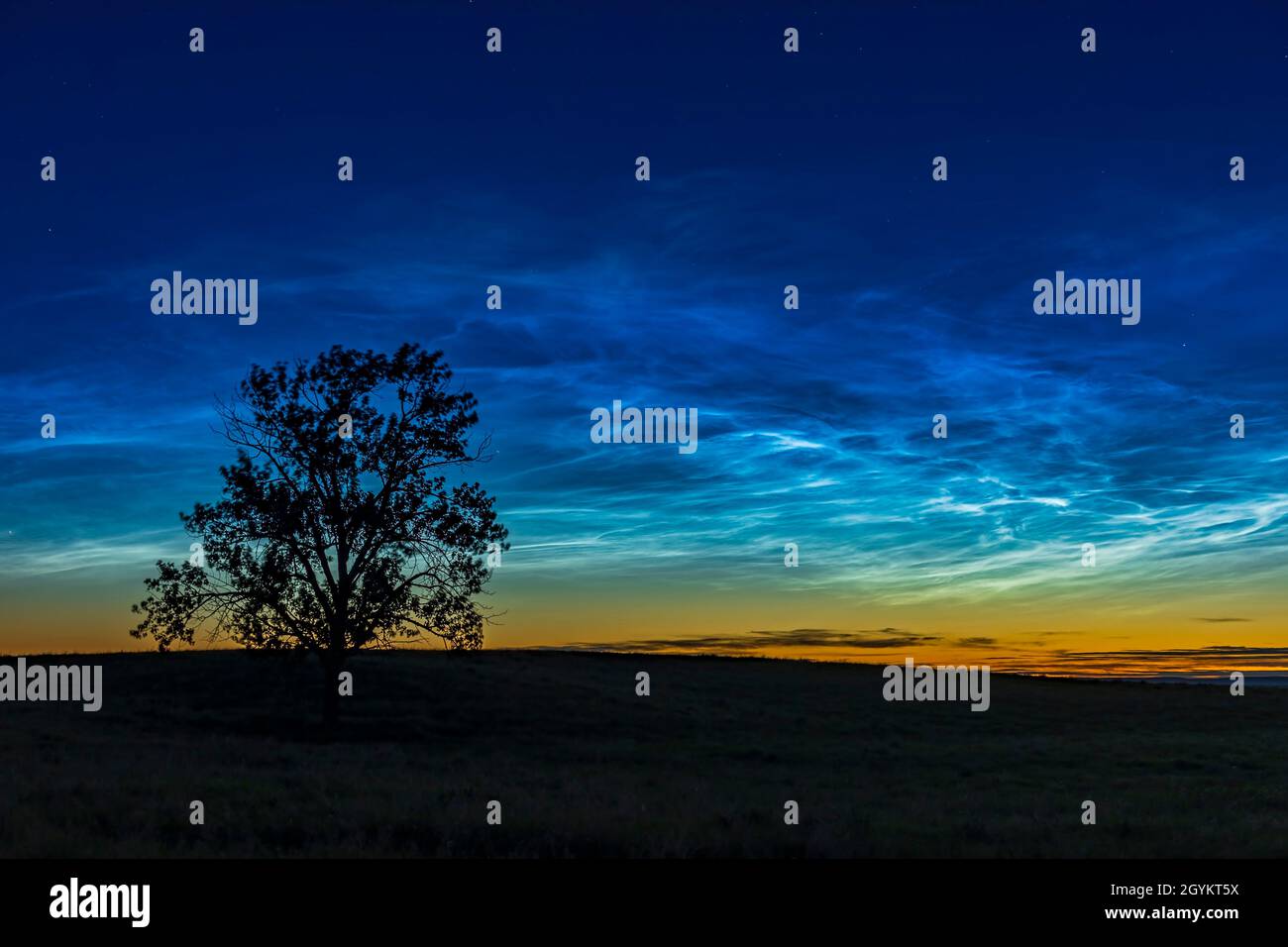Una sola imagen de la sección más brillante de la enorme 'gran pantalla' de nubes noctilucentes al atardecer el 16 de junio de 2021 desde 'One Tree Hill' (mi nombre para Foto de stock